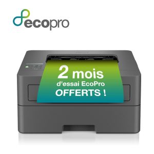 Brother HL-L2447DW laser printer