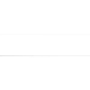 SEIKO Ordneretiketten schmal SLP-FN