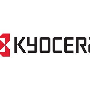 KYOCERA Data Security Kit (E)